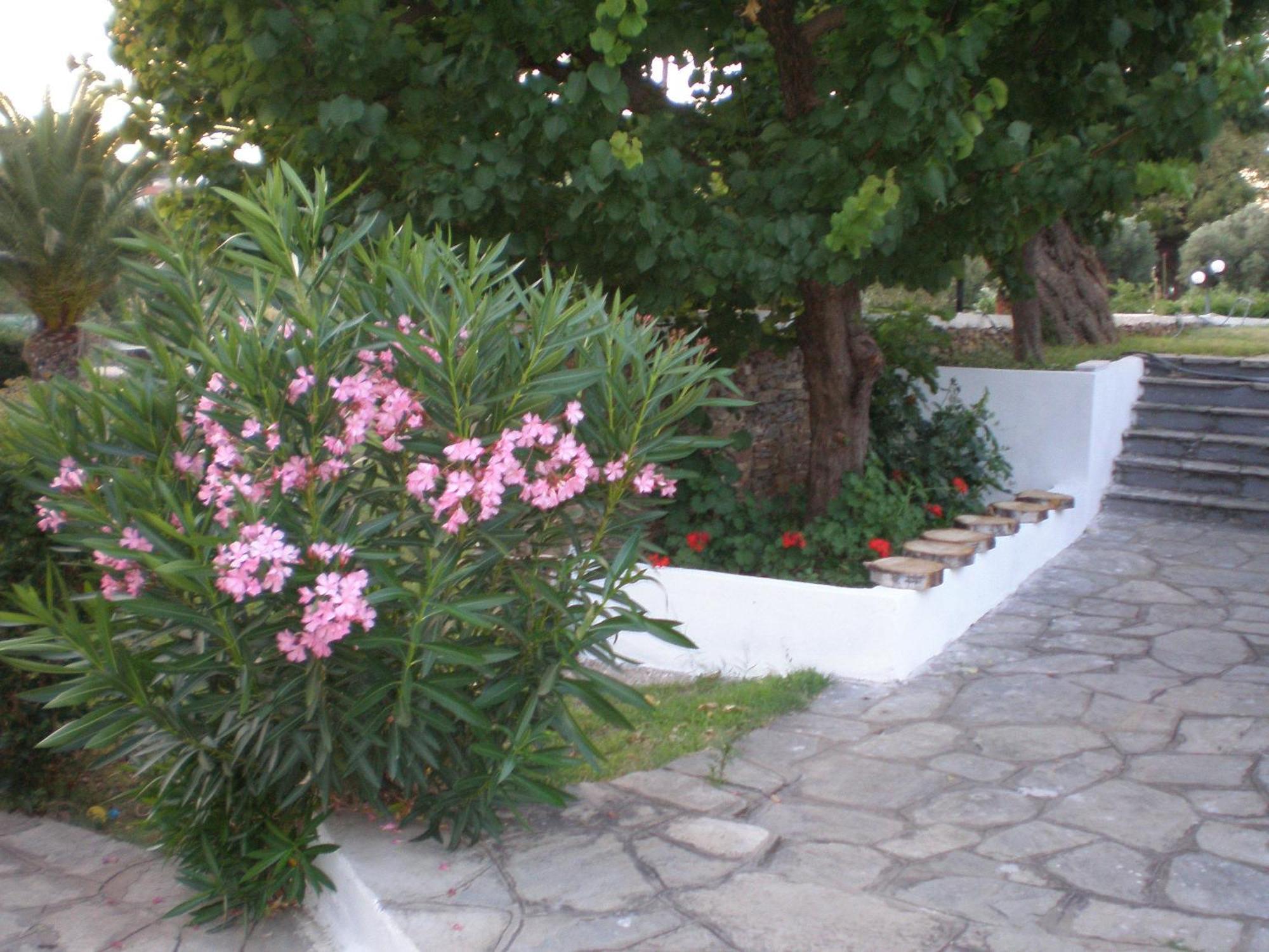 Hotel Porto Matina Metamorfosi  Esterno foto